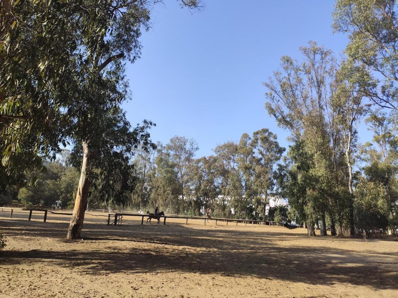 דירות טנג'יר Chez Karim חדר תמונה